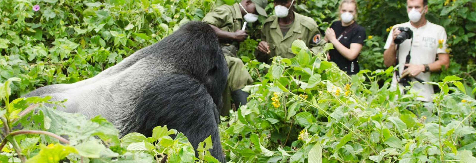 When to Visit DR Congo